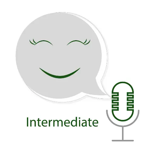 Intermediate Package